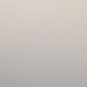 Meet your Posher, Brynn